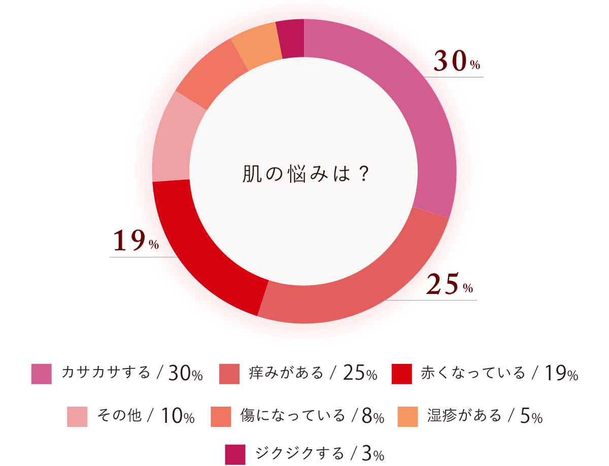 円グラフ/肌の悩みは?